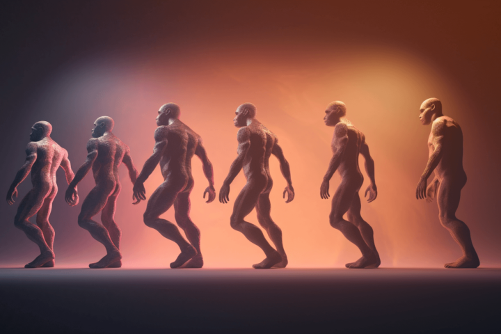 A photo of human evolution